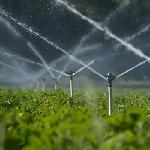 Campo irrigado por aspersores em plantação verde, representando outorga de recursos hídricos e uso sustentável da água. Campo irrigado por aspersores em plantação verde, representando outorga de recursos hídricos e uso sustentável da água.